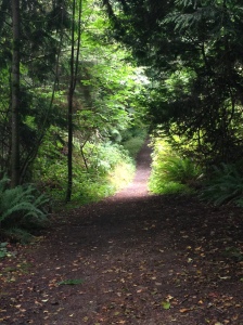 A hiking trail near my new house